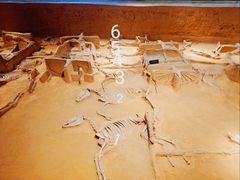 -洛阳周王城天子驾六博物馆