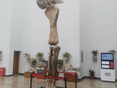 -自贡恐龙博物馆