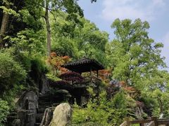 -南山植物园