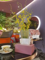 -花隐·美芙炫海菲秀皮肤管理中心