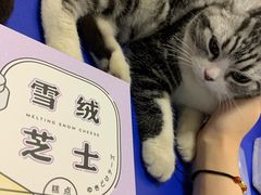 -好利来(高新枫叶广场店)