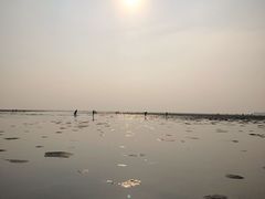 -北海金海湾红树林生态旅游区