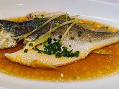 -骏莱海鲜鱼港(五角场店)