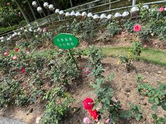 -聚龙山公园