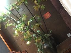 -厨彩阳光(河东路店)