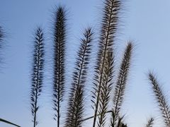 -汉长安城未央宫国家考古遗址公园