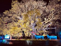 -第35届青岛国际啤酒节