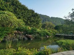 -南沙蒲洲花园