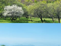 -大水川景区