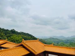 -深圳仙湖植物园