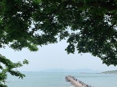 -青岛第二海水浴场