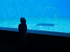 -西海国立公园九十九岛水族馆