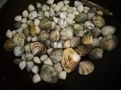 -红树林天天赶海