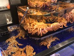 -蟹道乐(道顿堀本店)