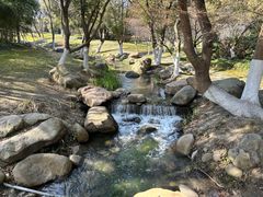 -新洲生态园
