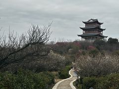 -南京市溧水区傅家边梅花山弄山庄