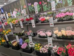 -鹿岛会员店(熙地港店)