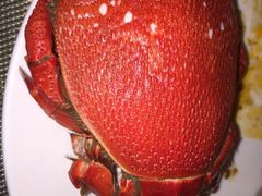 -富力希尔顿酒店·地阔自助餐厅