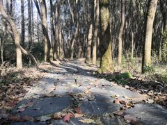-同里国家湿地公园