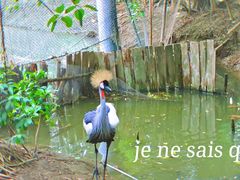 -南沙水鸟世界生态园