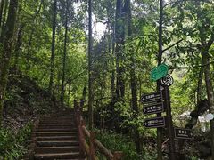 -江西阳明山国家森林公园