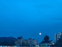 -阁楼Glow