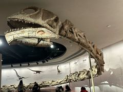 -自贡恐龙博物馆