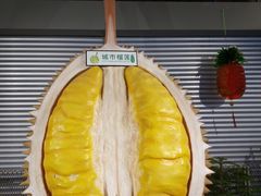 -都念榴莲·城市榴莲