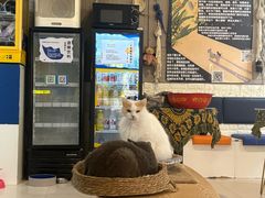 -平行世界·猫咖(首经贸店)