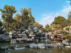 -东莞植物园