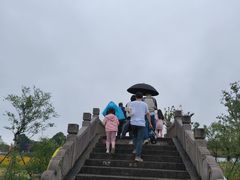 -杭州湾海上花田景区
