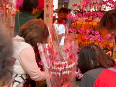 -越秀西湖花市(广州城市广场花卉店)