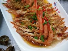 -小海丁