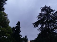 -花溪公园