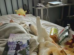 -爱侣宠医·鹦鹉专科·小型哺乳类·异宠专科(灵石路店)