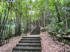 -凤栖山