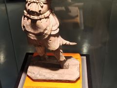 -温州博物馆