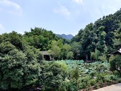 -西院1号(龙井店)