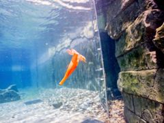 -上海玛雅海滩水公园