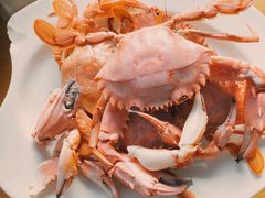 -大树下饭店(春晓镇慈岙社区卫生服务站南)