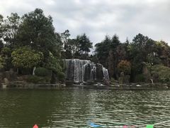 -上海鲜花港