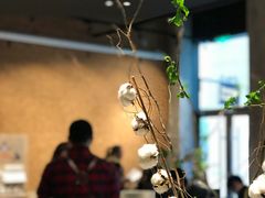 -Seesaw Coffee(上海国金中心店)