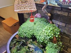 -鸢飞潍坊菜馆(鸢飞大酒店)