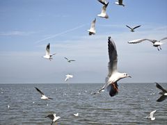 -捞渔河湿地公园