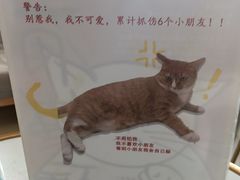 -Best U照相馆证件照·外拍(五角场店)