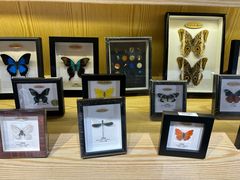 -安徽省地质博物馆