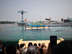 -秦皇岛乐岛海洋王国