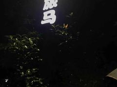 -旅马餐厅(茅家埠店)