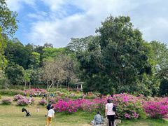 -华南国家植物园-售票处