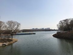 -大兴滨河森林公园